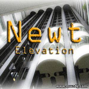 Newt - Elevation