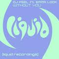 Dj feel feat emma lock-without you (vocal mix)