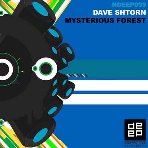 Dave Shtorn - Mysterious Forest (Sensetive5 Remix)