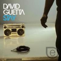 David Guetta - Stay (Dj nErU Remix)