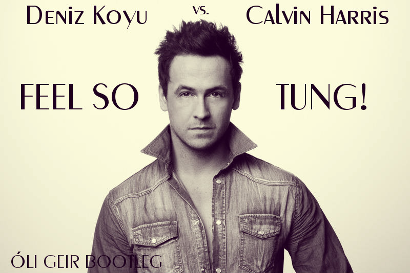 Deniz Koyu vs Calvin Harris - Feel so Tung! (Dj Óli Geir Bootleg) (Radio Edit)