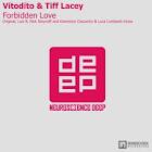 Tiff Lacey, Vitodito - Forbidden Love (Luiz B Remix)
