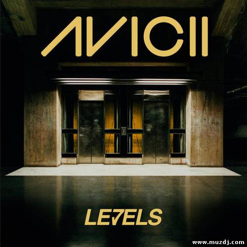Avicii vs Diddy Dirty Money feat. Skylar Grey- Bromance vs Seek Levels vs Coming Home(Djm Intro Mash Edit)