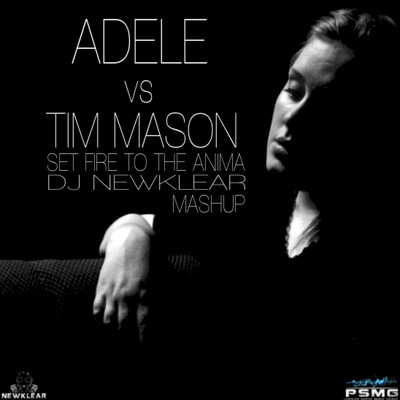 Adele vs Tim Mason - Set Fire To The Anima (DJ Newklear Mashup Extended Mix)