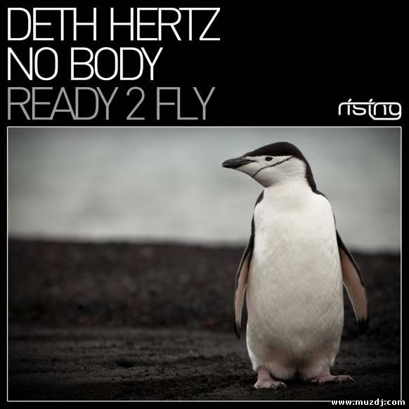 Dani Hertz & No Body - Ready 2 Fly (Original Mix)