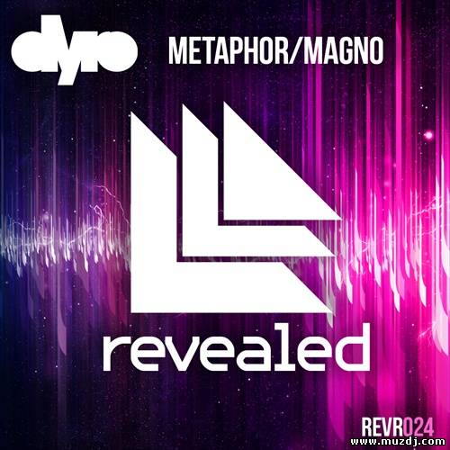 Steve Aoki - Ladi Dyro (Dj-TrickyyD Mashup)