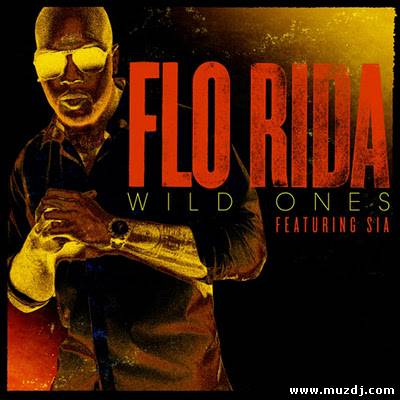 Flo Rida feat. Sia - Wild Ones (Basto Remix)