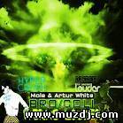 Mole & Artur White vs. Hyper Crush & Dj Fresh - Broccoli werks louder (Mole mashup)