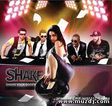 Shake feat. YoZi - Shake Your Booty (Extended Mix)