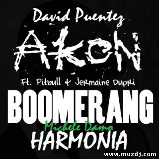 David Puentez ft. Akon, Pitbull & Jermaine Dupri - Boomerang Harmonia (Michele Damo Bootleg Mix)