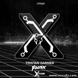 Tristan Garner - Punx (Original Mix)