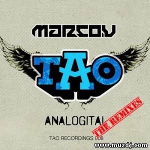 Marco V - Analogital (Hard Rock Sofa Remix)