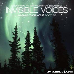 Otto Knows Vs. Dirty South, Skylar Grey - Invisible Voices (Magnus Thorlacius's Bootleg)
