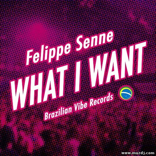 Felippe Senne - What I Want (Original Mix)